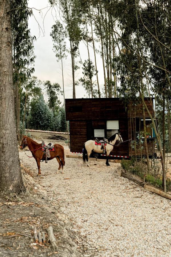 El Bosque De Campingplatz
