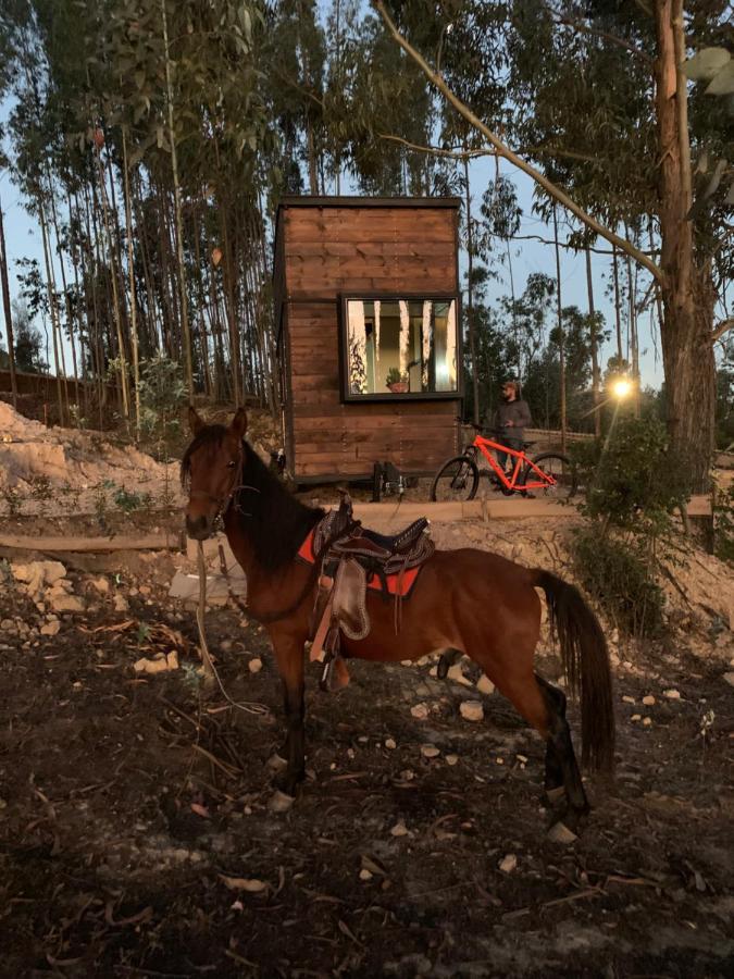 El Bosque De Campingplatz *