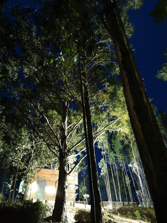 El Bosque De *