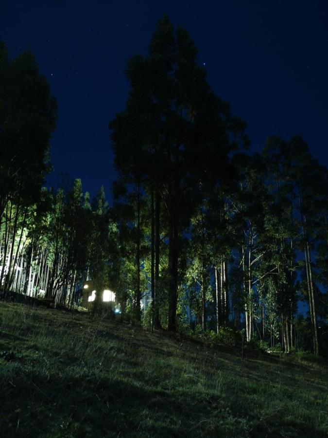 Campingplatz El Bosque De *