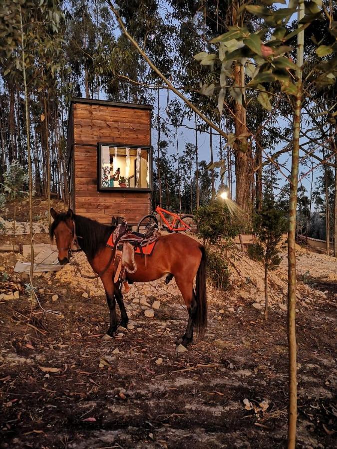 Campingplatz El Bosque De